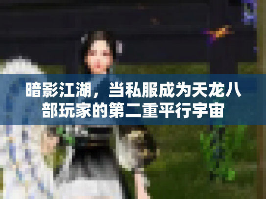 暗影江湖，当私服成为天龙八部玩家的第二重平行宇宙