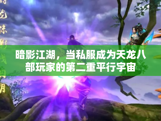 暗影江湖，当私服成为天龙八部玩家的第二重平行宇宙