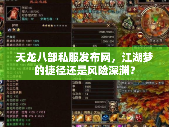 天龙八部私服发布网，江湖梦的捷径还是风险深渊？