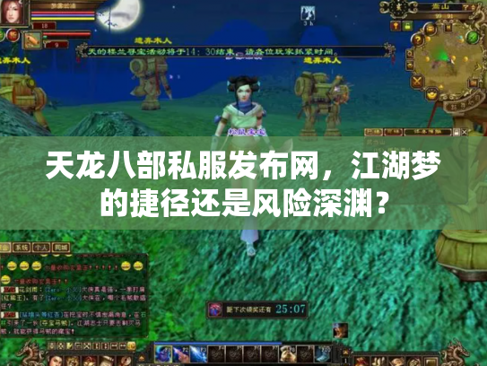 天龙八部私服发布网，江湖梦的捷径还是风险深渊？