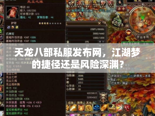 天龙八部私服发布网，江湖梦的捷径还是风险深渊？