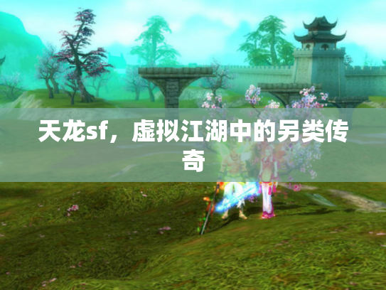 天龙sf，虚拟江湖中的另类传奇