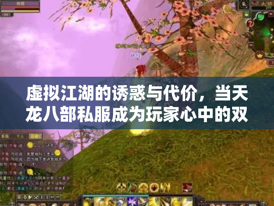 虚拟江湖的诱惑与代价，当天龙八部私服成为玩家心中的双刃剑