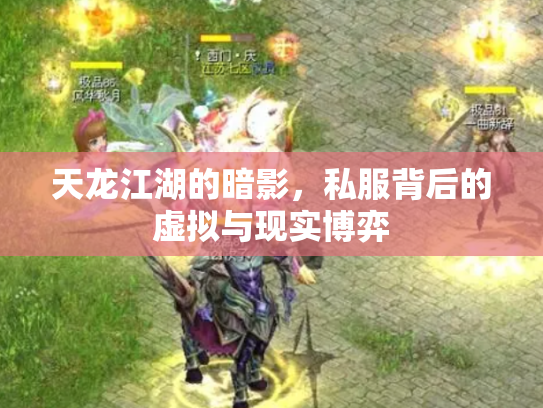 天龙江湖的暗影，私服背后的虚拟与现实博弈