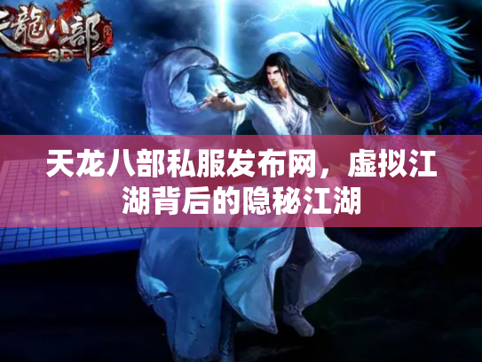 天龙八部私服发布网，虚拟江湖背后的隐秘江湖