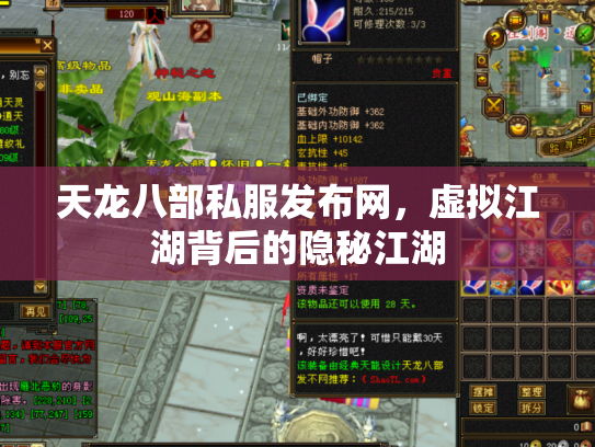 天龙八部私服发布网，虚拟江湖背后的隐秘江湖