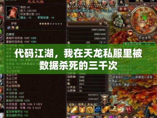 代码江湖，我在天龙私服里被数据杀死的三千次
