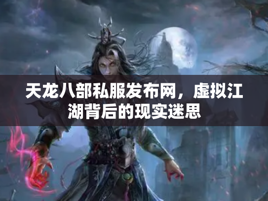 天龙八部私服发布网，虚拟江湖背后的现实迷思