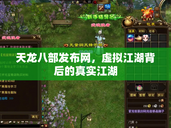 天龙八部发布网，虚拟江湖背后的真实江湖