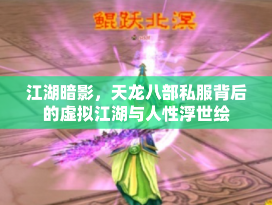 江湖暗影，天龙八部私服背后的虚拟江湖与人性浮世绘