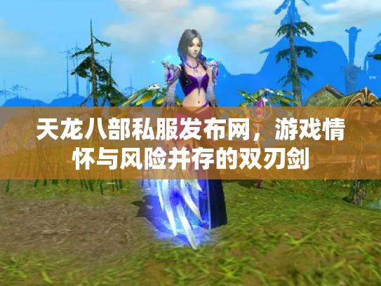 天龙八部私服发布网，游戏情怀与风险并存的双刃剑