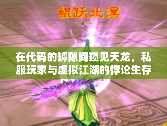 在代码的罅隙间窥见天龙，私服玩家与虚拟江湖的悖论生存