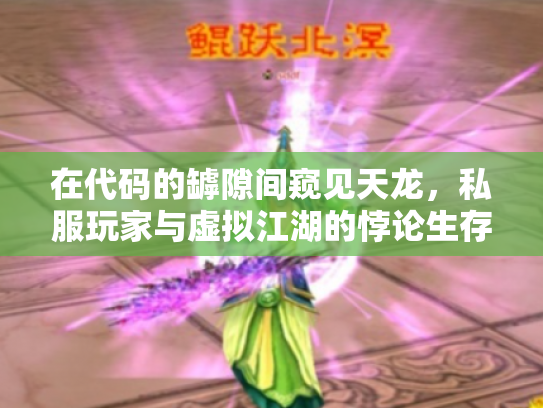在代码的罅隙间窥见天龙，私服玩家与虚拟江湖的悖论生存