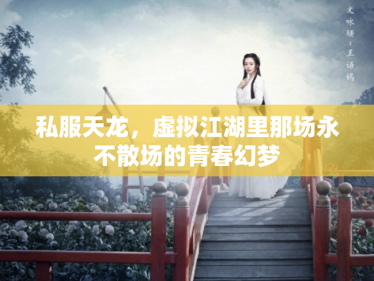 私服天龙，虚拟江湖里那场永不散场的青春幻梦