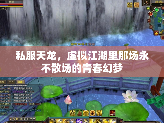 私服天龙，虚拟江湖里那场永不散场的青春幻梦