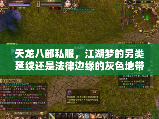 天龙八部私服，江湖梦的另类延续还是法律边缘的灰色地带？