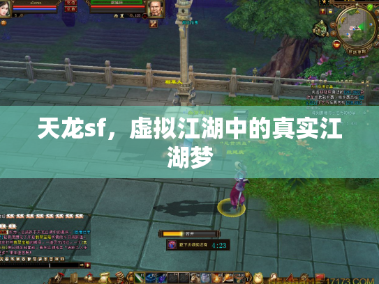 天龙sf，虚拟江湖中的真实江湖梦