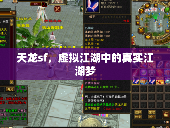 天龙sf，虚拟江湖中的真实江湖梦