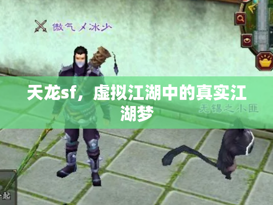 天龙sf，虚拟江湖中的真实江湖梦