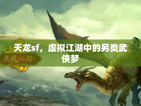 天龙sf，虚拟江湖中的另类武侠梦