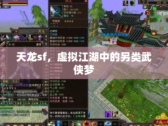 天龙sf，虚拟江湖中的另类武侠梦