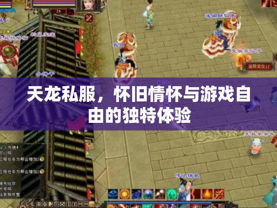 天龙私服，怀旧情怀与游戏自由的独特体验