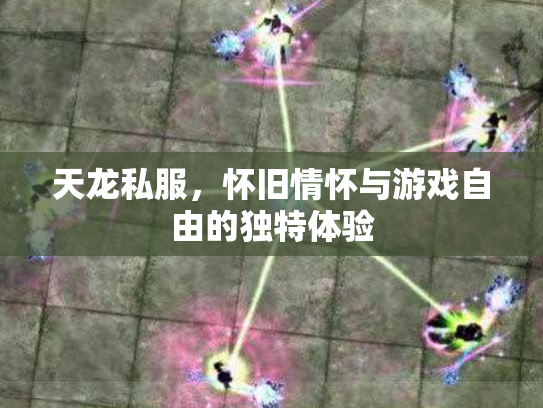 天龙私服，怀旧情怀与游戏自由的独特体验