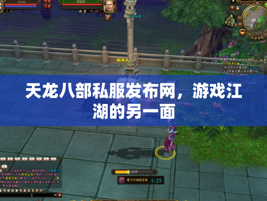 天龙八部私服发布网，游戏江湖的另一面