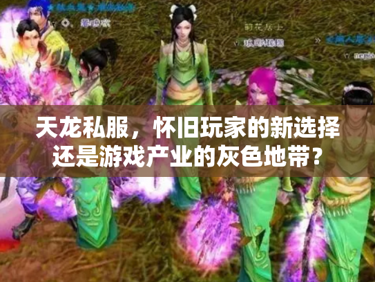 天龙私服，怀旧玩家的新选择还是游戏产业的灰色地带？