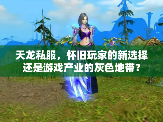 天龙私服，怀旧玩家的新选择还是游戏产业的灰色地带？