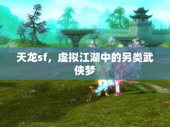 天龙sf，虚拟江湖中的另类武侠梦