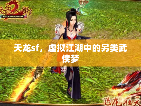 天龙sf，虚拟江湖中的另类武侠梦