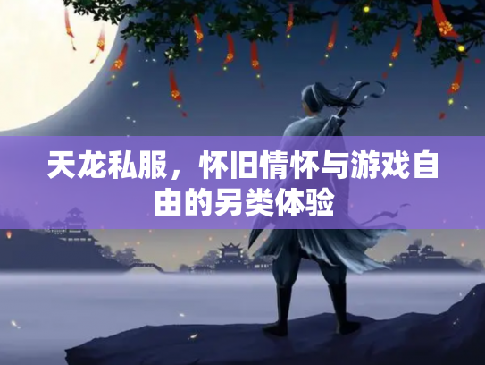 天龙私服，怀旧情怀与游戏自由的另类体验