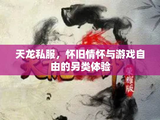 天龙私服，怀旧情怀与游戏自由的另类体验