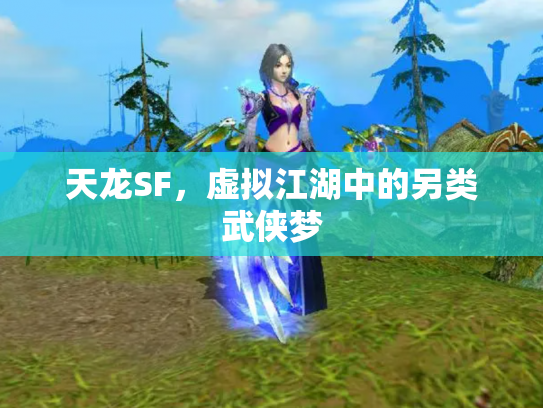 天龙SF，虚拟江湖中的另类武侠梦