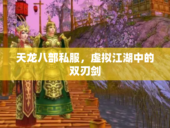 天龙八部私服，虚拟江湖中的双刃剑