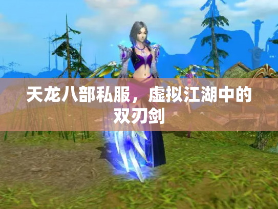 天龙八部私服，虚拟江湖中的双刃剑