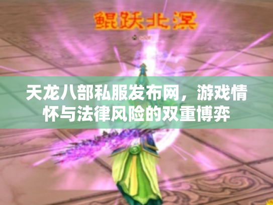 天龙八部私服发布网，游戏情怀与法律风险的双重博弈