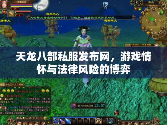 天龙八部私服发布网，游戏情怀与法律风险的博弈