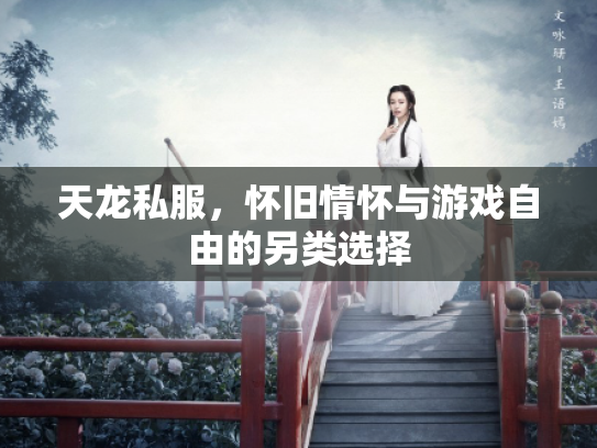 天龙私服，怀旧情怀与游戏自由的另类选择