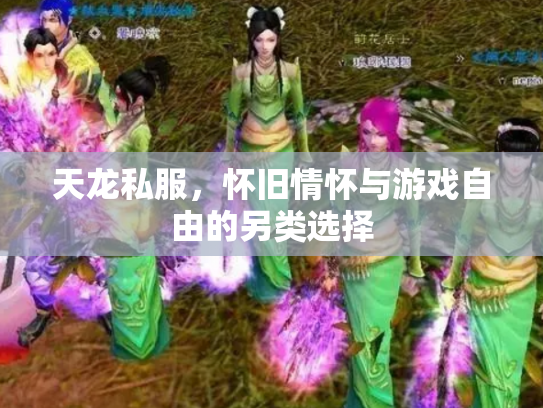 天龙私服，怀旧情怀与游戏自由的另类选择