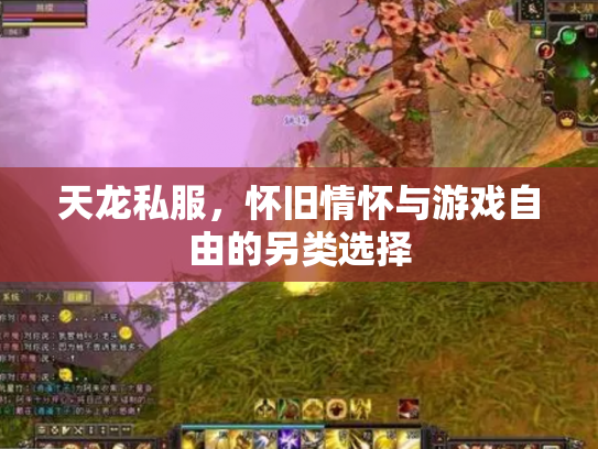 天龙私服，怀旧情怀与游戏自由的另类选择