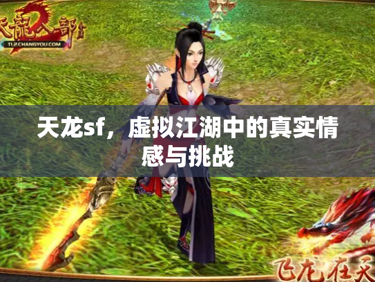 天龙sf，虚拟江湖中的真实情感与挑战