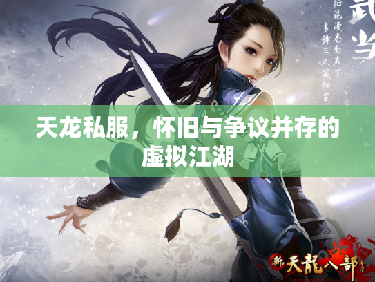 天龙私服，怀旧与争议并存的虚拟江湖