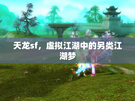 天龙sf，虚拟江湖中的另类江湖梦