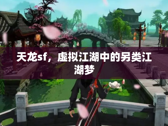 天龙sf，虚拟江湖中的另类江湖梦