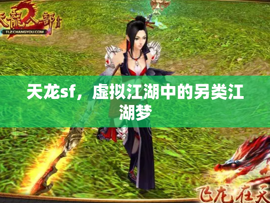 天龙sf，虚拟江湖中的另类江湖梦