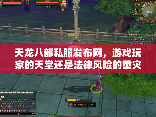 天龙八部私服发布网，游戏玩家的天堂还是法律风险的重灾区？