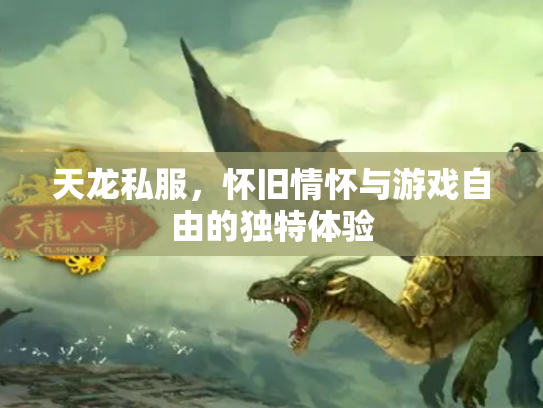 天龙私服，怀旧情怀与游戏自由的独特体验
