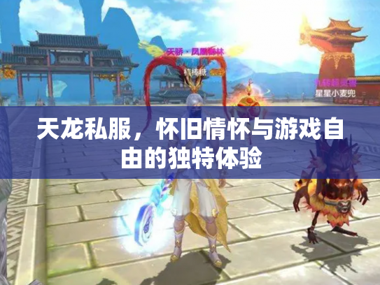 天龙私服，怀旧情怀与游戏自由的独特体验